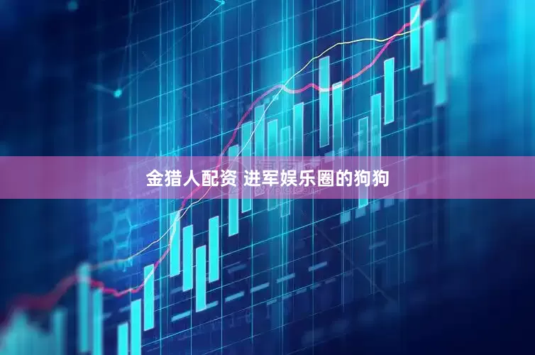 金猎人配资 进军娱乐圈的狗狗
