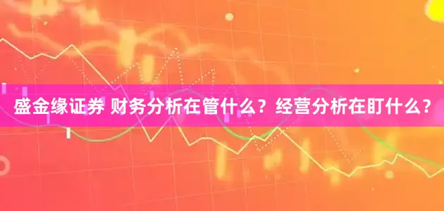 盛金缘证券 财务分析在管什么？经营分析在盯什么？