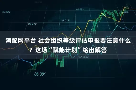 淘配网平台 社会组织等级评估申报要注意什么？这场“赋能计划”给出解答