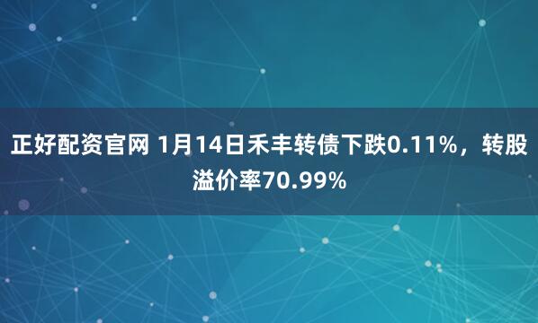 正好配资官网 1月14日禾丰转债下跌0.11%，转股溢价率70.99%